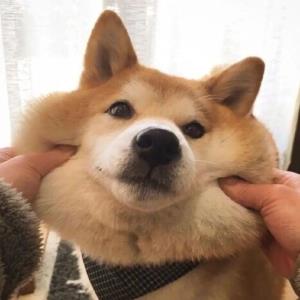 爱笑的阳光
