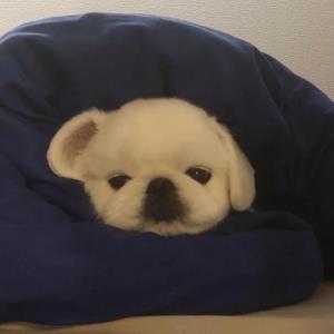 幸福满满