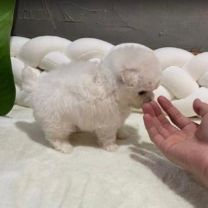 艳阳高照