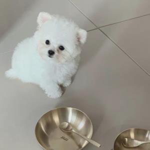 潇洒自信