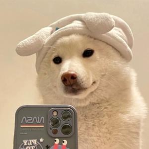 拥抱生命