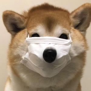 科技前行