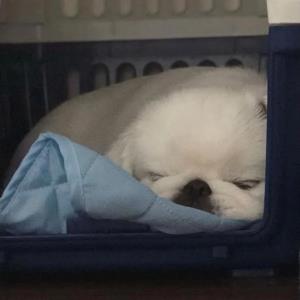 走过以往