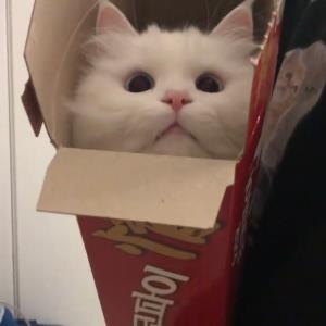汲取营养