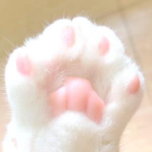 爱心照亮
