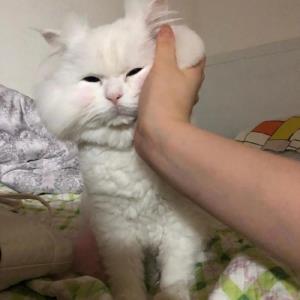 美好人生