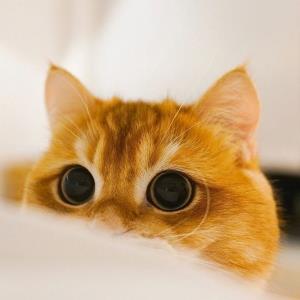 看到美好