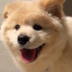 自信前行