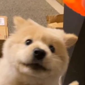 大爱无边