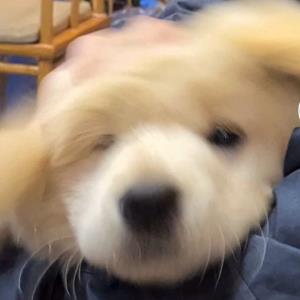 家庭幸福