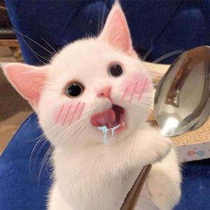 忠诚奉献
