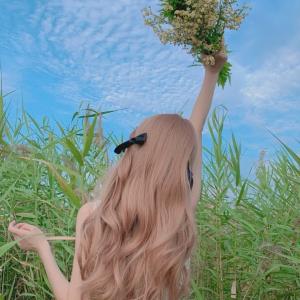 紫薇