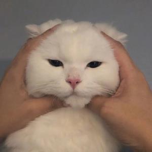 心花怒放