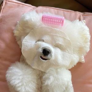 优美旋律