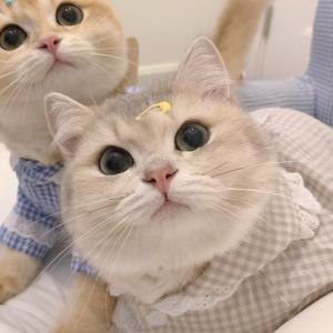 倩儿