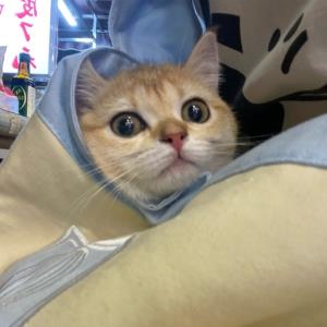 语嫣