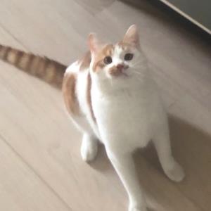 大大方方