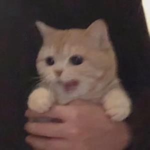 红唇