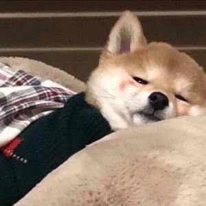 彩虹
