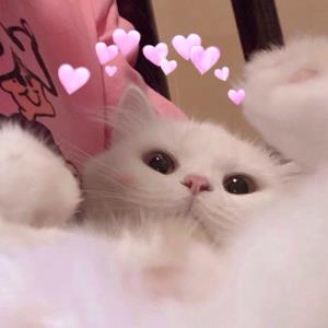 小梅