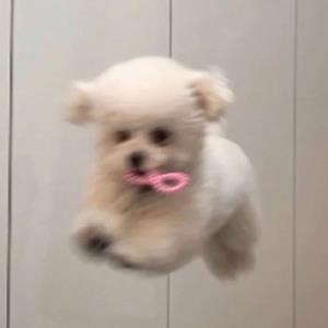 珊珊