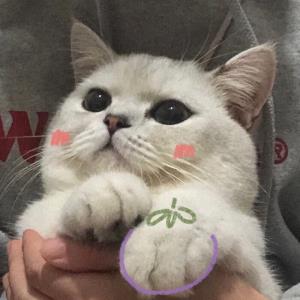 静芬