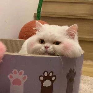 思妍