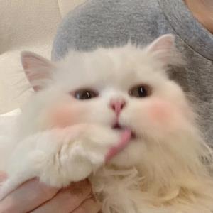 金儿
