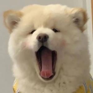 小娟