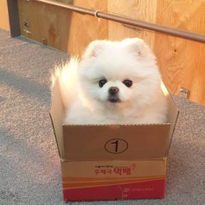 瑛瑛
