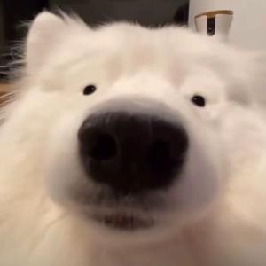 快乐永远
