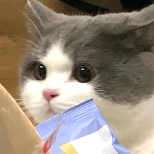 玉妍