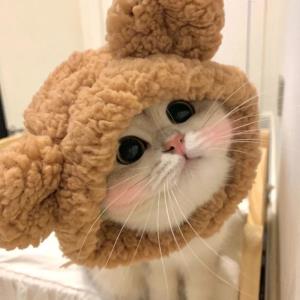 莉莉丝
