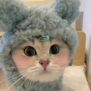 红瑶