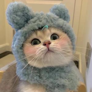 紫瑶