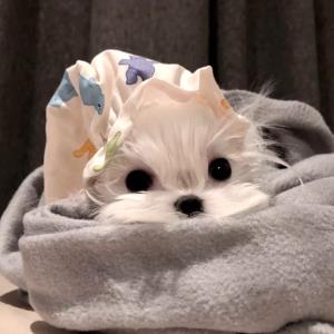 云水