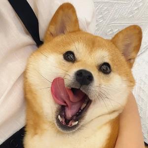 紫染