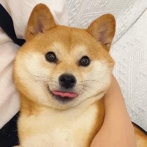 紫梧