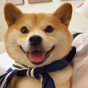 紫鸾