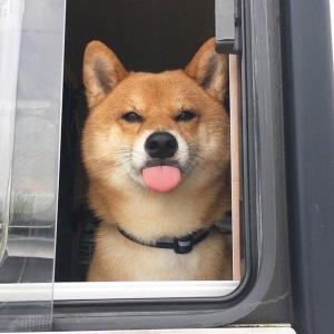紫慧