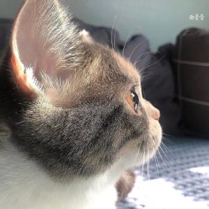 紫琳