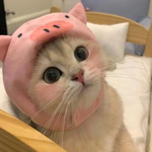 紫妍