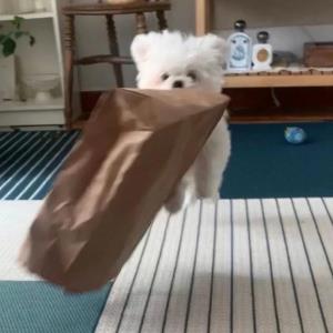自由之心