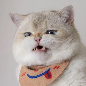 紫艺