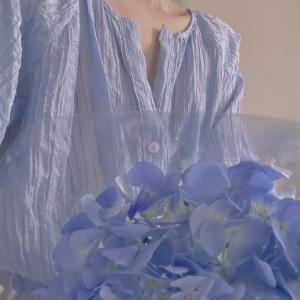 紫荷