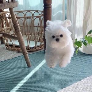 充满希望