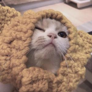 紫妮