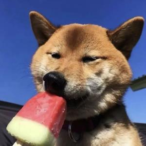 春天的微风