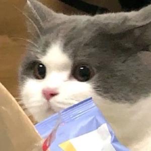 紫府