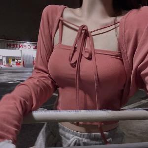 紫燕子飞